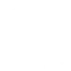 Tracking Cookies Icon