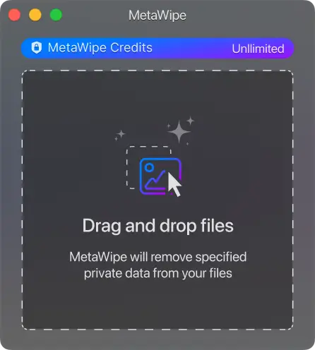 MetaWipe Main Screen