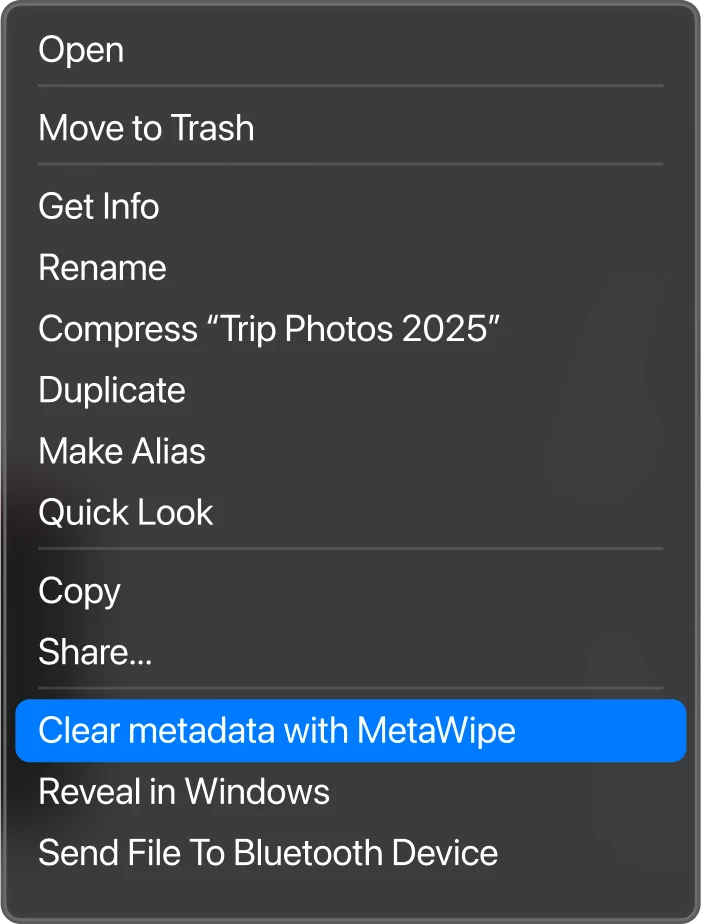 MetaWipe Main Screen