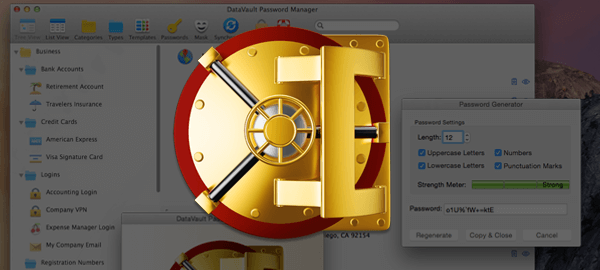 data vault password manager data vault password manager