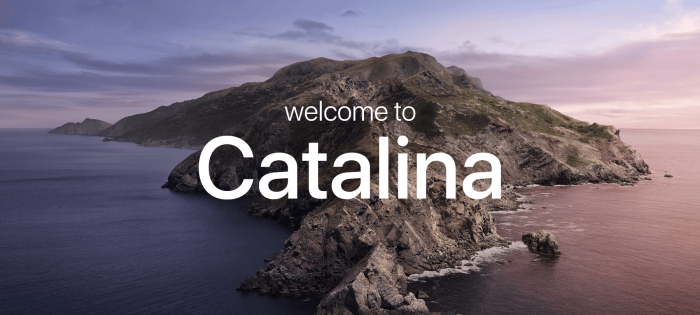 Understanding macOS Catalina Security and Privacy Features