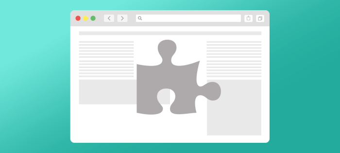 Browser extensions and your privacy