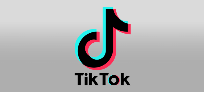 TikTok and WeChat bans on hold for now
