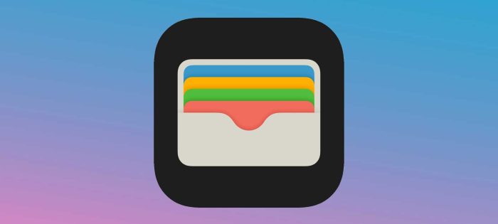 ID in Apple Wallet Privacy Issues