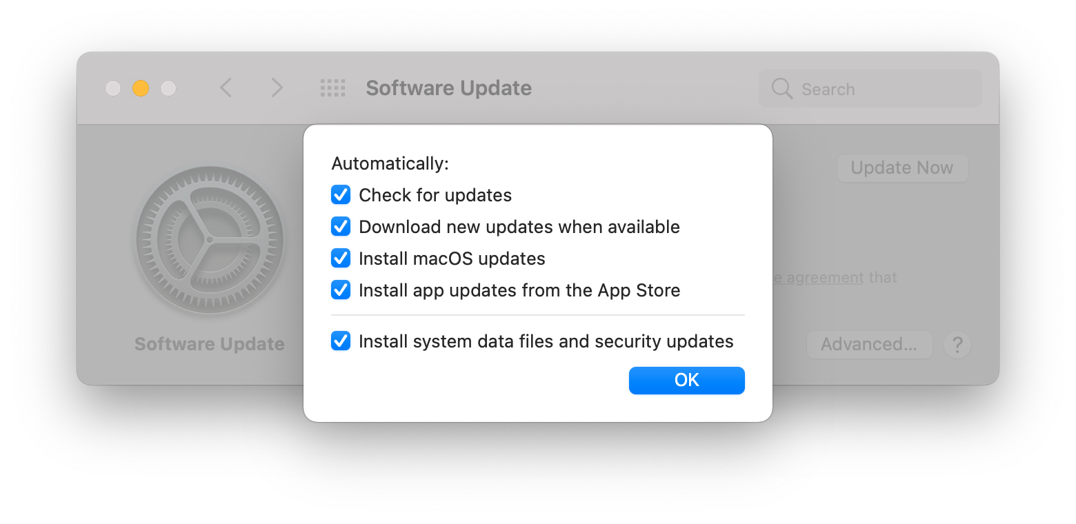 Automatic updates are an important macOS security feature